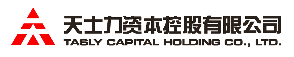俄罗斯专享会294VIP资本控股有限公司